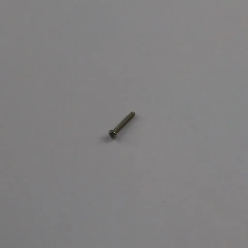 Parafuso com cabeça redonda (M2*12mm)