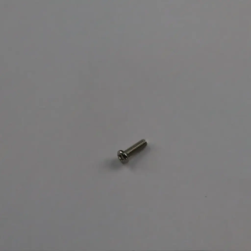 Parafusos com cabeça redonda (M3*10mm)