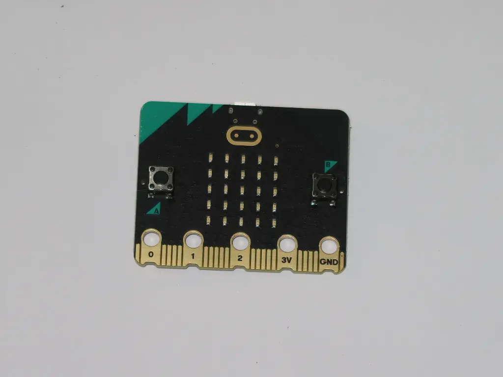 Placa de processamento principal (micro:bit)