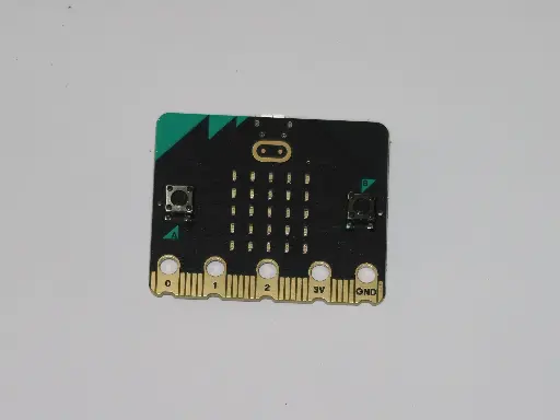 Placa de processamento principal (micro:bit)